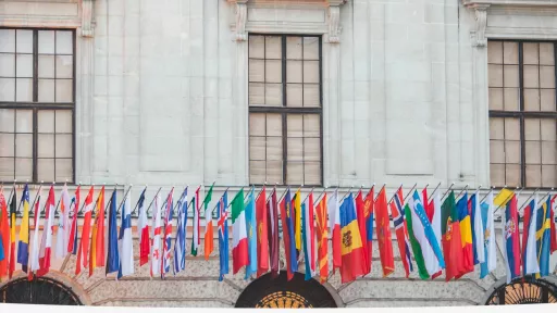 Flags of the EU